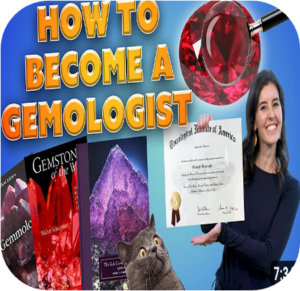 Read more about the article Nulla ipsum metus, pulvinar at elementum